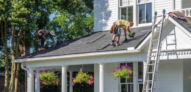 Best Roof Insulation Installation  in USA